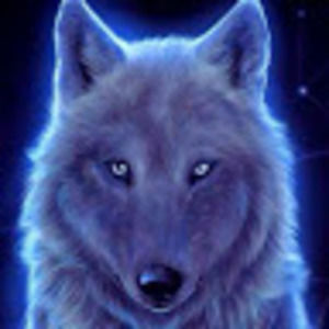 Meet your Posher, Dabbin'